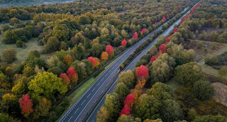 Canadian-war-memorial-w-red-maples-along-highway-in-England-by-Mark-Chambers-SWNS