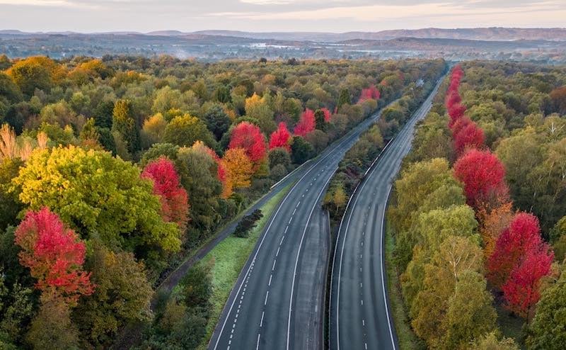 Hampsire-England-highway-by-Mark-Chambers-SWNS